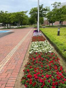 色鮮やかな植栽