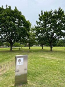 芝生と大樹の広々とした空間