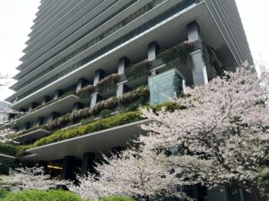 桜が咲き誇る東京スクエアガーデン