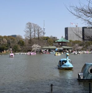 晴れ渡った空の下、のどかなスワンボート